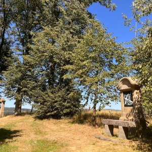Betička na vrcholu Anenský vrch (15.8.2026 12:01)