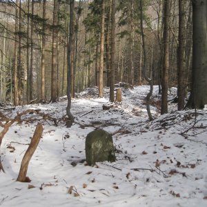 ZdenkaV on the summit of Vysutý (7.2.2025 12:13)