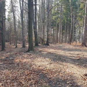Petr Pepe Peloušek on the summit of Vysutý (10.3.2026 13:43)