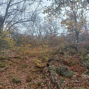 Křivoklátská vrchovina