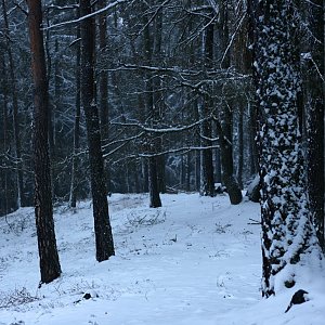 Bouřka na vrcholu Farská skála (25.12.2021 15:44)