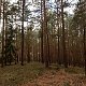 Bouřka na vrcholu Nad Losinou I (22.2.2022 12:22)