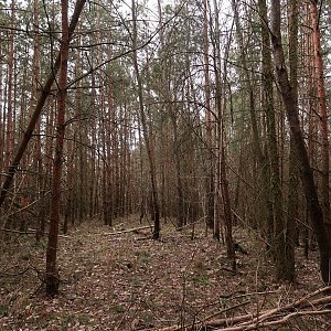 Bouřka na vrcholu Nad Losinou II (22.2.2022 12:17)