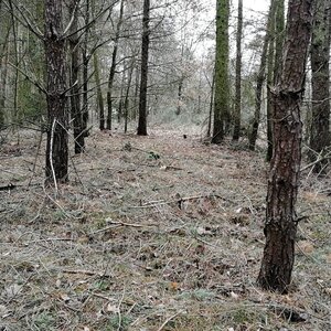 Vladimír Grančay na vrcholu Nad Losinou III (12.2.2024 11:47)
