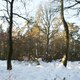 Holi na vrcholu Nad Borkem (9.12.2023)