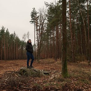 Bouřka na vrcholu Štěnovický vrch (25.1.2022 11:01)