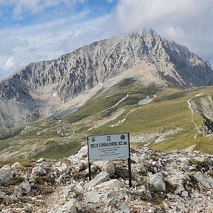 p_e_t_r_95 on the summit of Picco Confalonieri (4.7.2021 17:35)