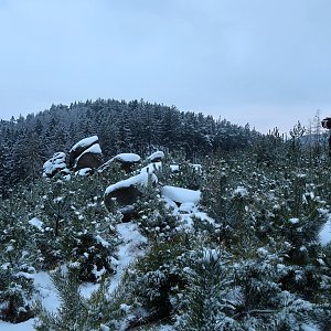 Holi na vrcholu Rozsocha - SV vrchol (11.12.2021 15:55)