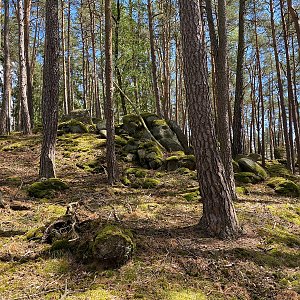 Martin Matějka na vrcholu Písečný vrch - V vrchol (28.5.2022 14:06)