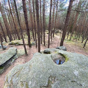 Martin Matějka na vrcholu Skalní mísy (28.5.2022 16:20)