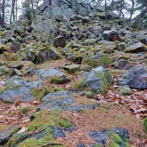 Mykas na vrcholu Velká skála - Z vrchol (2.1.2024 12:27)