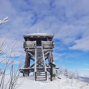 Mr. Wolf na vrcholu Knížecí stolec (31.1.2021 12:22)