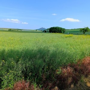 Tor na vrcholu Viselec (27.5.2026 7:00)