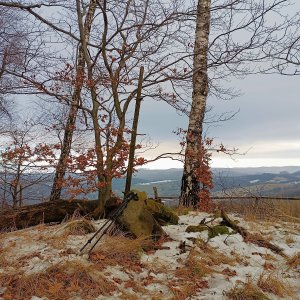 AlenaŠ on the summit of Troják (17.1.2026 12:29)
