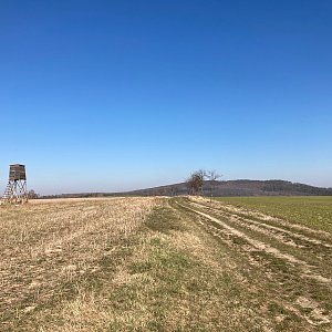 Jana Nováková na vrcholu Sýkory (23.3.2022 9:20)