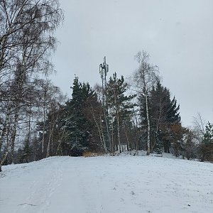 ignac on the summit of Liščí vrch (2.4.2022 11:40)