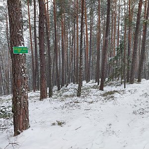 ignac on the summit of Dvorský vrch (2.4.2022 13:23)
