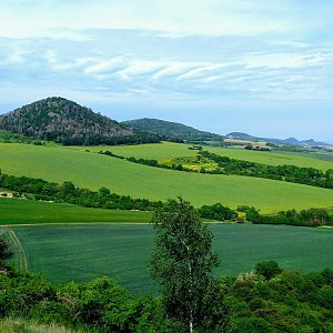 Torr na vrcholu Kamýk (23.5.2022 16:30)