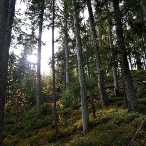 Lukáš Racocha on the summit of Obří hrad (21.10.2019 13:20)