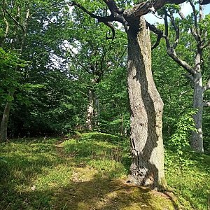Miroslav Příhonský na vrcholu Cerník (4.7.2021 9:30)