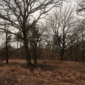 Bouřka na vrcholu Mukava (8.2.2022 14:13)