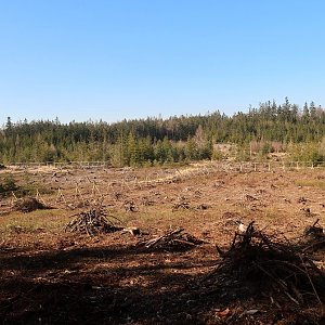 Bouřka na vrcholu Trhoň - JV vrchol (1.3.2022 12:46)