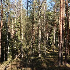 Bouřka na vrcholu Medoújezdský revír - Z vrchol (1.3.2022 13:32)