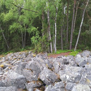 Cyklista 73 na vrcholu Třítrubecká vyhlídka (21.5.2025 13:42)