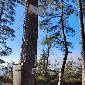 Ivetast na vrcholu Bílá skála (13.11.2022 14:33)