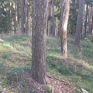 Cyklista 73 na vrcholu Čihadlo (31.10.2022 13:02)