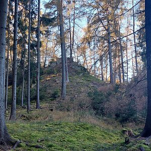 Křivoklátská vrchovina