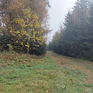 Cyklista 73 na vrcholu Hora (1.11.2022 9:04)