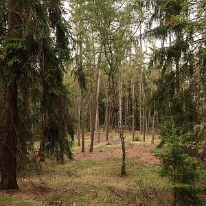 Bouřka na vrcholu Hadí vrch - SZ vrchol (1.9.2022 15:53)