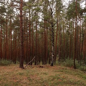 Bouřka na vrcholu Plesnivka (1.9.2022 16:07)