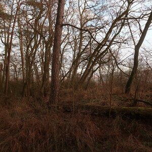 Bouřka na vrcholu Hlavy (31.1.2024 15:46)