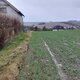Mykas na vrcholu Želna (2.1.2024)