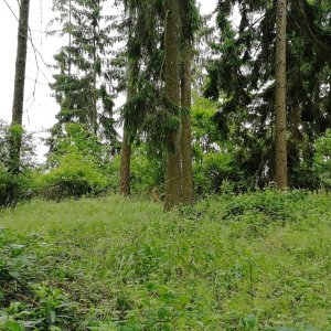 Vladimír Grančay na vrcholu Na hůrkách (10.6.2025 17:48)