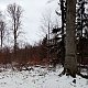 Jiřina na vrcholu Skalka (26.12.2021 11:35)