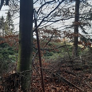 ZdenkaV na vrcholu Háje (15.11.2022 11:06)