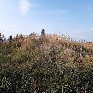 ZdenkaV na vrcholu Ojičná (15.11.2022 11:37)