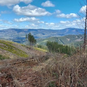 Mykas na vrcholu Tanečnice S (19.4.2025 13:10)