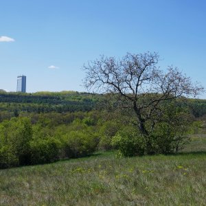 Mountainer on the summit of Gabrielka (1.5.2026 11:35)