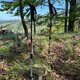 Radka D na vrcholu Nad Pasekami