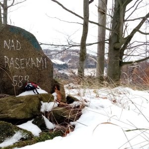 Jiřina na vrcholu Nad Pasekami (24.11.2024 11:05)