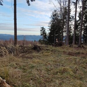 Petr h_vipet on the summit of Břuchačka (28.12.2023 14:41)