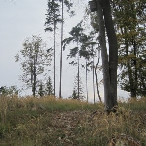 ZdenkaV on the summit of Břuchačka (14.10.2026 13:32)