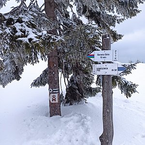 Roman Tigge na vrcholu Wierch Wisełka (7.3.2022 11:56)