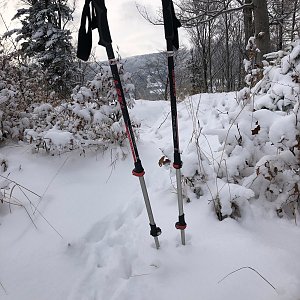 Radka D na vrcholu Gutský vršek Z Vrchol (23.1.2022 11:08)
