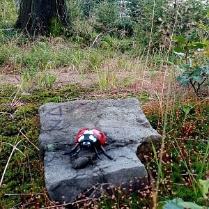 Jiřina na vrcholu Gutský vršek Z Vrchol (23.8.2022 17:40)