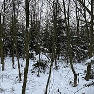 Gregořicovi na vrcholu Nad Vítovkou (14.1.2024 14:27)